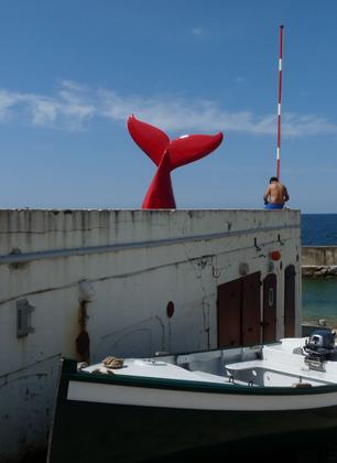 http://prismorama.tumblr.com/